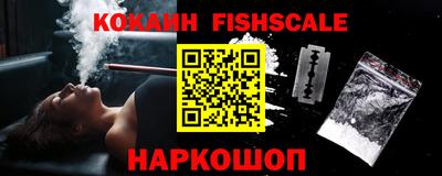 гидра Кингисепп