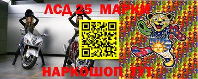 гидра Кингисепп
