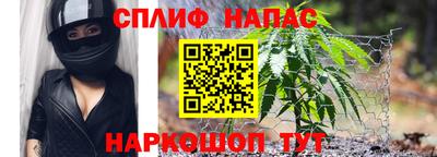 гидра Кингисепп