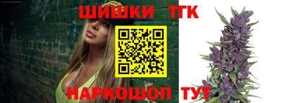 гидра Кингисепп