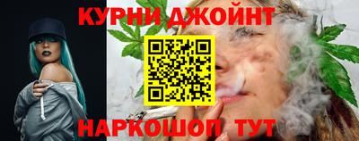 гидра Кингисепп