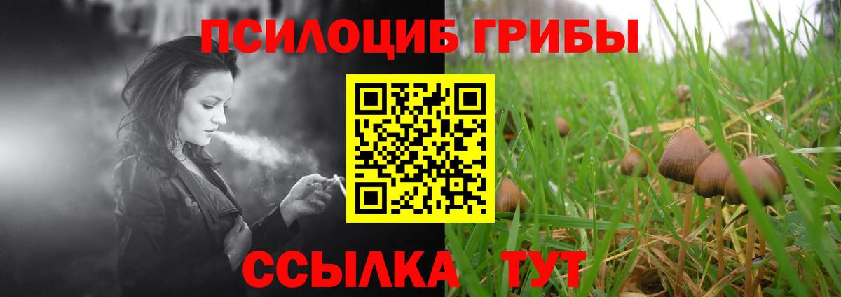 Псилоцибиновые грибы GOLDEN TEACHER  Вход с VPN  Еманжелинск 